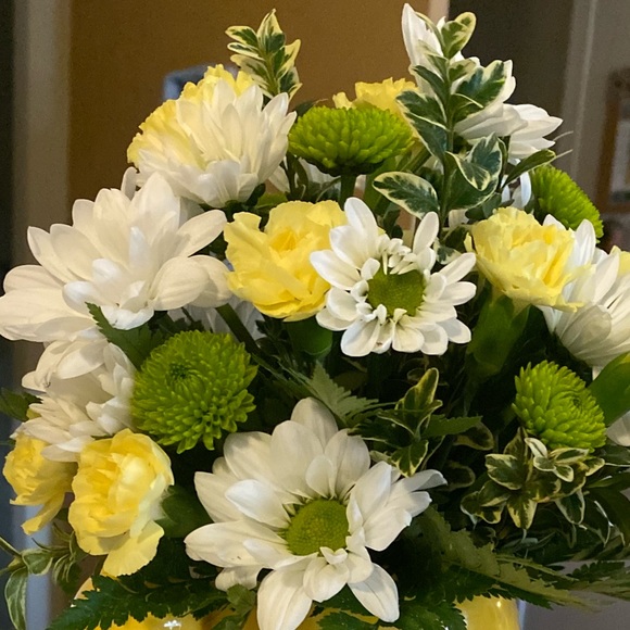 Meet your posher - Picture 1 of 1